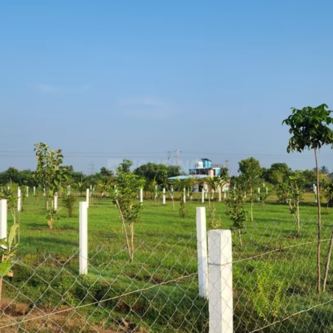 Bora Housing Teak Meadows